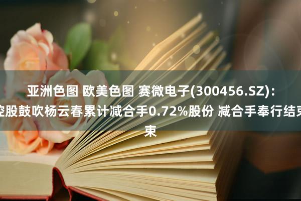 亚洲色图 欧美色图 赛微电子(300456.SZ)：控股鼓吹杨云春累计减合手0.72%股份 减合手奉行结束