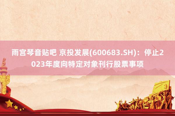 雨宫琴音贴吧 京投发展(600683.SH)：停止2023年度向特定对象刊行股票事项