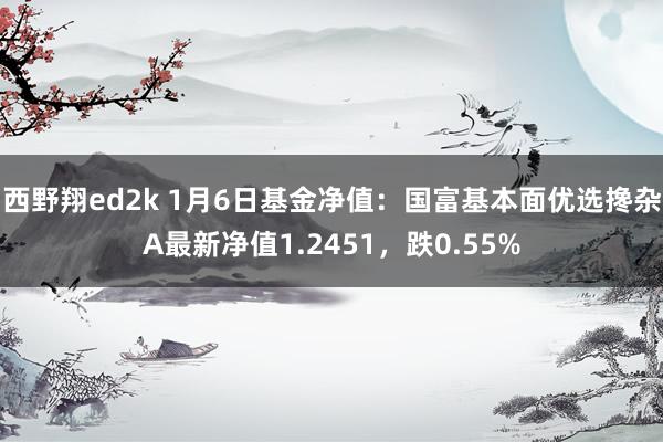 西野翔ed2k 1月6日基金净值：国富基本面优选搀杂A最新净值1.2451，跌0.55%