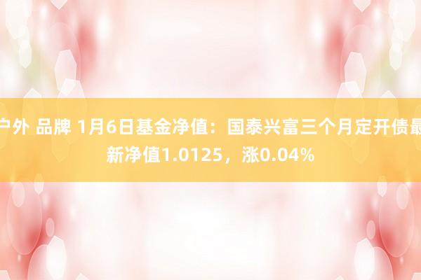 户外 品牌 1月6日基金净值：国泰兴富三个月定开债最新净值1.0125，涨0.04%