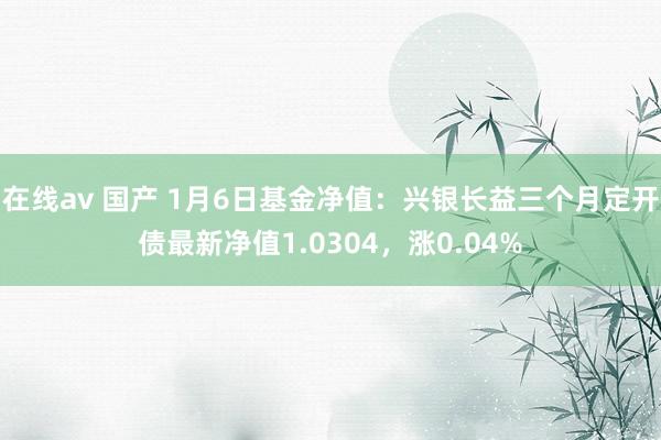 在线av 国产 1月6日基金净值：兴银长益三个月定开债最新净值1.0304，涨0.04%