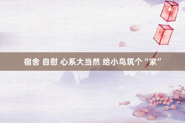 宿舍 自慰 心系大当然 给小鸟筑个“家”