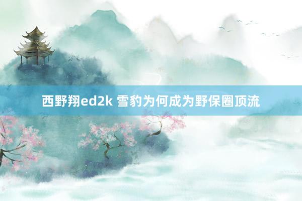 西野翔ed2k 雪豹为何成为野保圈顶流