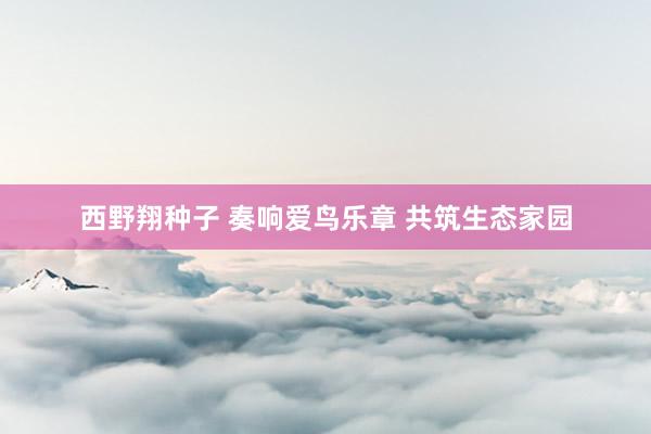西野翔种子 奏响爱鸟乐章 共筑生态家园
