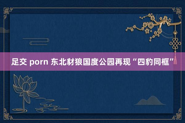 足交 porn 东北豺狼国度公园再现“四豹同框”