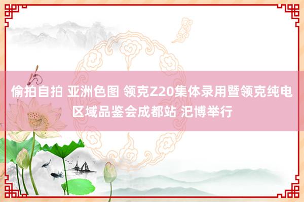 偷拍自拍 亚洲色图 领克Z20集体录用暨领克纯电区域品鉴会成都站 汜博举行