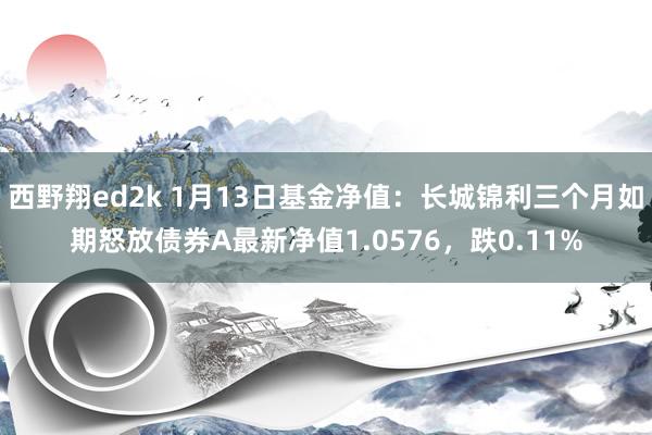 西野翔ed2k 1月13日基金净值：长城锦利三个月如期怒放债券A最新净值1.0576，跌0.11%