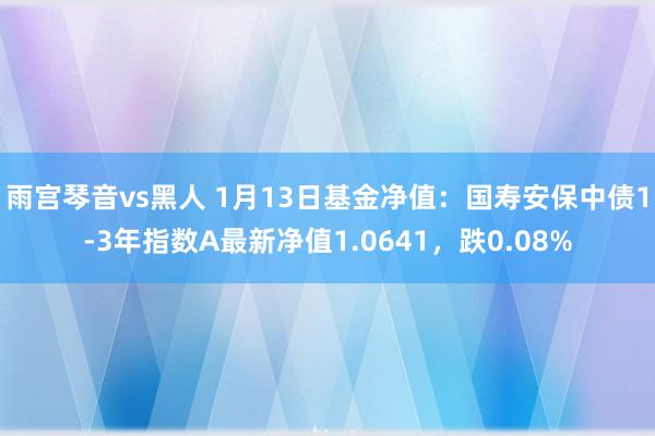 雨宫琴音vs黑人 1月13日基金净值：国寿安保中债1-3年指数A最新净值1.0641，跌0.08%