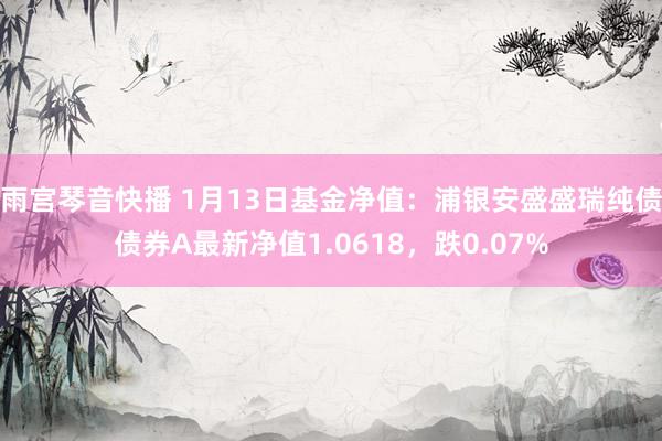 雨宫琴音快播 1月13日基金净值：浦银安盛盛瑞纯债债券A最新净值1.0618，跌0.07%