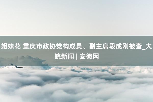 姐妹花 重庆市政协党构成员、副主席段成刚被查_大皖新闻 | 安徽网