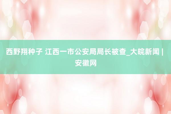 西野翔种子 江西一市公安局局长被查_大皖新闻 | 安徽网