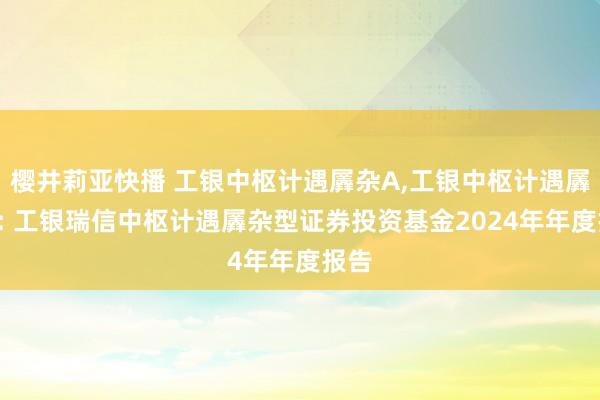 樱井莉亚快播 工银中枢计遇羼杂A,工银中枢计遇羼杂C: 工银瑞信中枢计遇羼杂型证券投资基金2024年年度报告