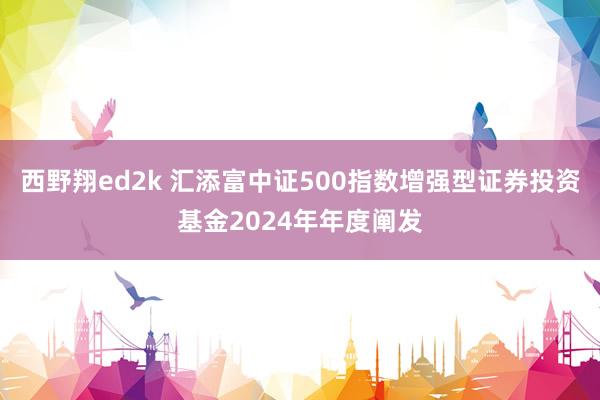 西野翔ed2k 汇添富中证500指数增强型证券投资基金2024年年度阐发