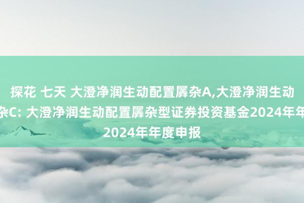 探花 七天 大澄净润生动配置羼杂A，大澄净润生动配置羼杂C: 大澄净润生动配置羼杂型证券投资基金2024年年度申报