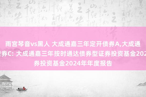 雨宫琴音vs黑人 大成通嘉三年定开债券A,大成通嘉三年定开债券C: 大成通嘉三年按时通达债券型证券投资基金2024年年度报告