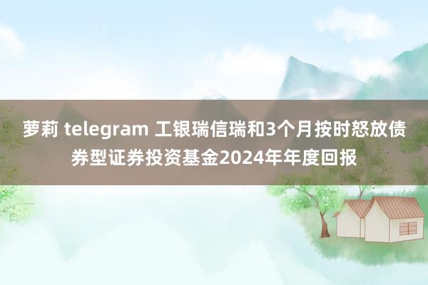 萝莉 telegram 工银瑞信瑞和3个月按时怒放债券型证券投资基金2024年年度回报