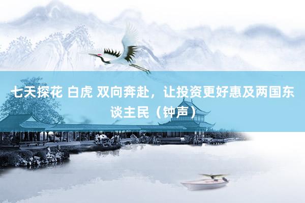 七天探花 白虎 双向奔赴，让投资更好惠及两国东谈主民（钟声）