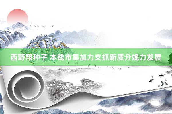 西野翔种子 本钱市集加力支抓新质分娩力发展