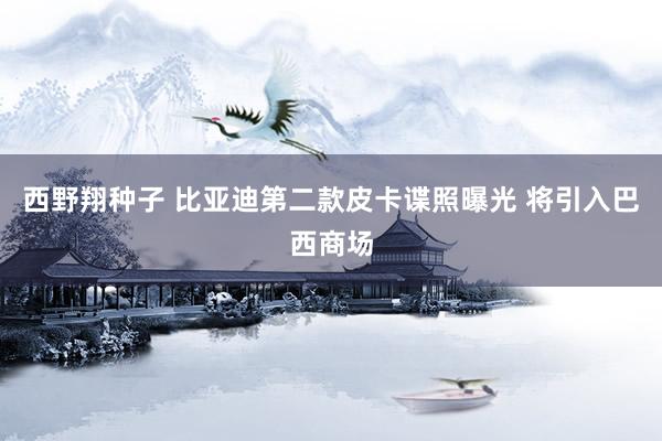 西野翔种子 比亚迪第二款皮卡谍照曝光 将引入巴西商场