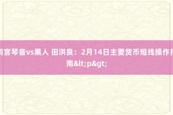 雨宫琴音vs黑人 田洪良：2月14日主要货币短线操作指南<p>