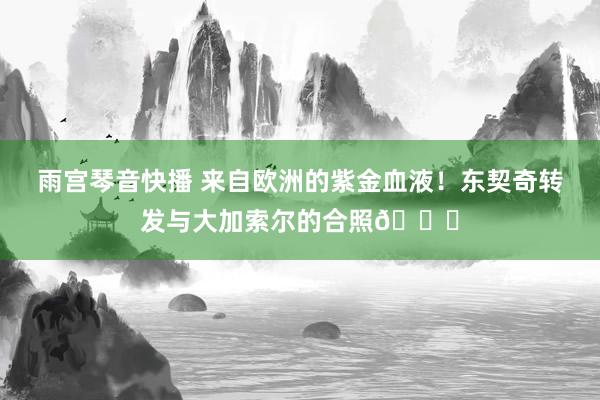 雨宫琴音快播 来自欧洲的紫金血液！东契奇转发与大加索尔的合照😄