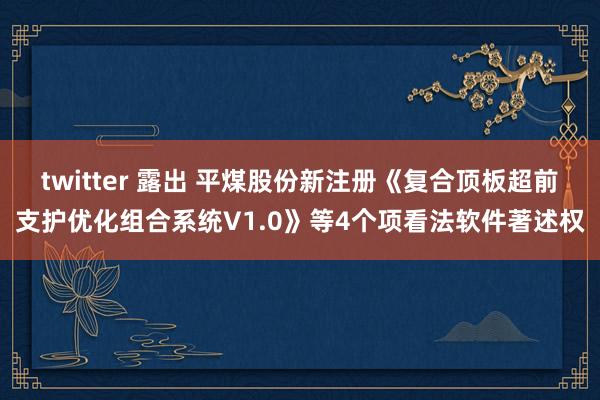 twitter 露出 平煤股份新注册《复合顶板超前支护优化组合系统V1.0》等4个项看法软件著述权