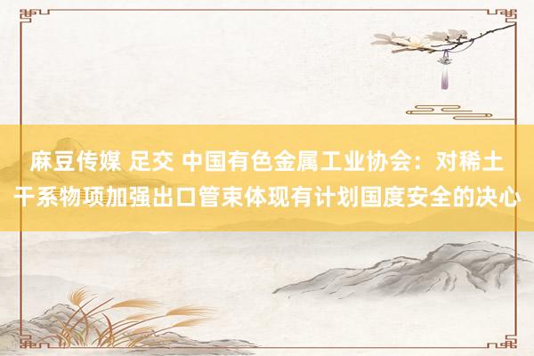 麻豆传媒 足交 中国有色金属工业协会：对稀土干系物项加强出口管束体现有计划国度安全的决心