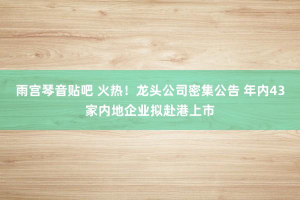 雨宫琴音贴吧 火热！龙头公司密集公告 年内43家内地企业拟赴港上市