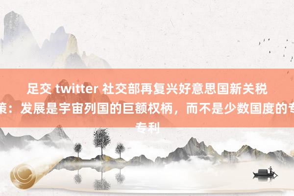 足交 twitter 社交部再复兴好意思国新关税计策：发展是宇宙列国的巨额权柄，而不是少数国度的专利