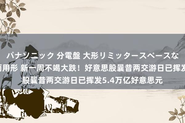 パナソニック 分電盤 大形リミッタースペースなし 露出・半埋込両用形 新一周不竭大跌！好意思股曩昔两交游日已挥发5.4万亿好意思元