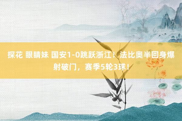 探花 眼睛妹 国安1-0跳跃浙江！法比奥半回身爆射破门，赛季5轮3球！