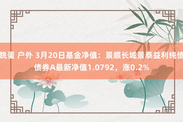 跳蛋 户外 3月20日基金净值：景顺长城景泰益利纯债债券A最新净值1.0792，涨0.2%