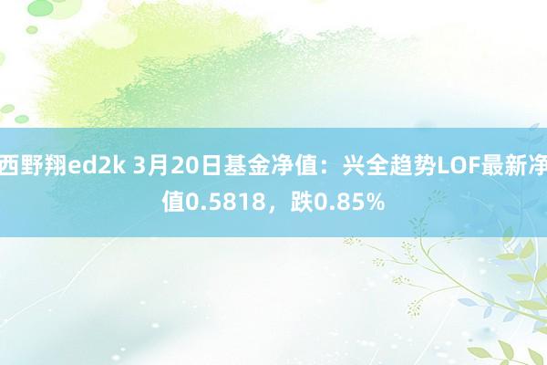 西野翔ed2k 3月20日基金净值：兴全趋势LOF最新净值0.5818，跌0.85%