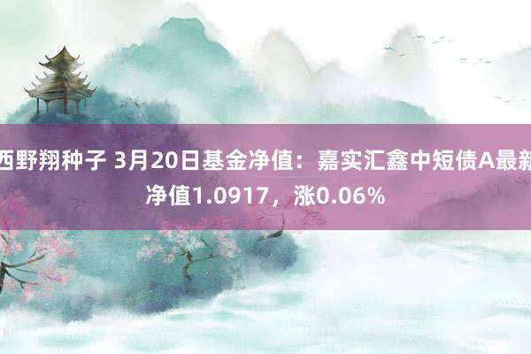 西野翔种子 3月20日基金净值：嘉实汇鑫中短债A最新净值1.0917，涨0.06%