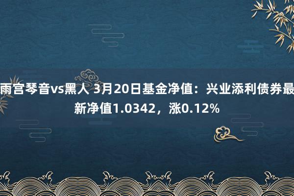 雨宫琴音vs黑人 3月20日基金净值：兴业添利债券最新净值1.0342，涨0.12%