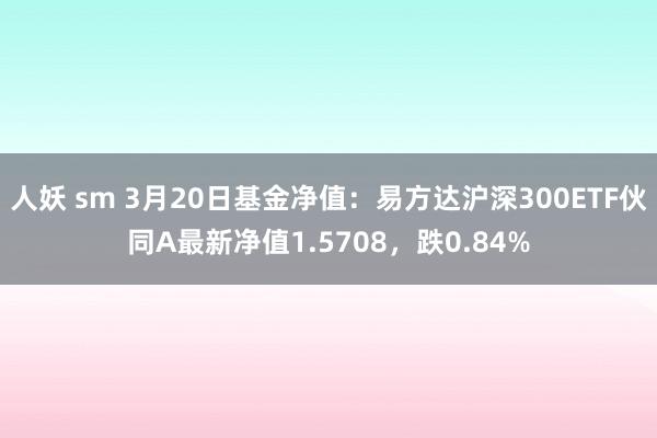 人妖 sm 3月20日基金净值：易方达沪深300ETF伙同A最新净值1.5708，跌0.84%