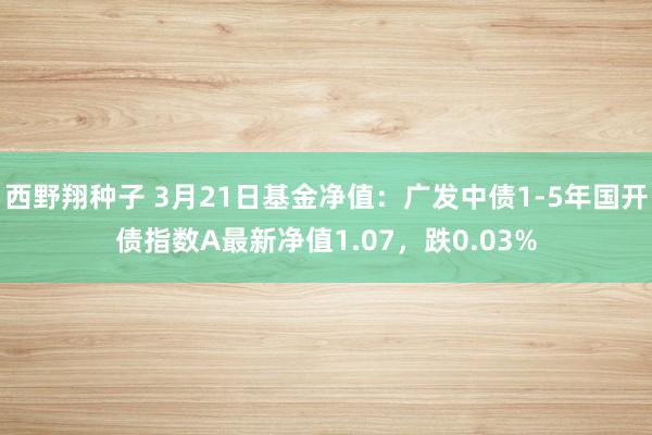 西野翔种子 3月21日基金净值：广发中债1-5年国开债指数A最新净值1.07，跌0.03%