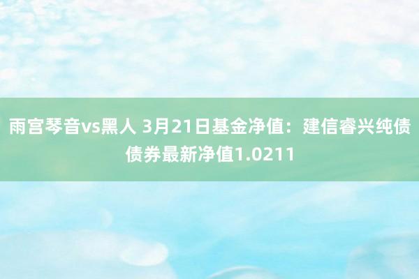 雨宫琴音vs黑人 3月21日基金净值：建信睿兴纯债债券最新净值1.0211
