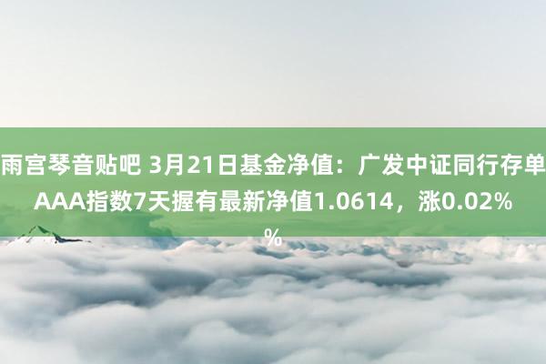 雨宫琴音贴吧 3月21日基金净值：广发中证同行存单AAA指数7天握有最新净值1.0614，涨0.02%