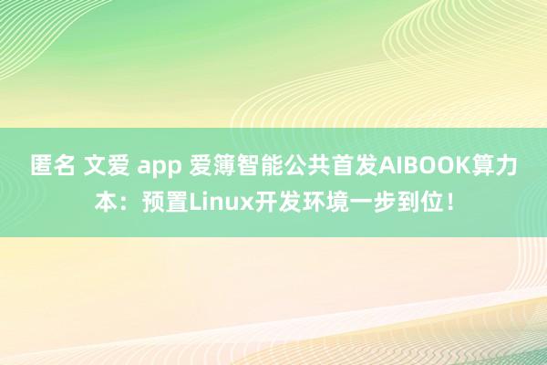 匿名 文爱 app 爱簿智能公共首发AIBOOK算力本：预置Linux开发环境一步到位！
