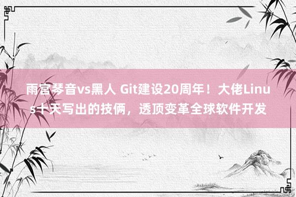 雨宫琴音vs黑人 Git建设20周年！大佬Linus十天写出的技俩，透顶变革全球软件开发
