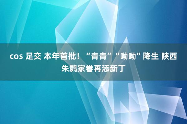 cos 足交 本年首批！“青青”“呦呦”降生 陕西朱鹮家眷再添新丁
