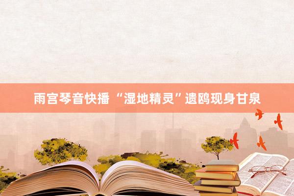 雨宫琴音快播 “湿地精灵”遗鸥现身甘泉