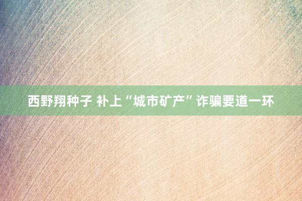 西野翔种子 补上“城市矿产”诈骗要道一环
