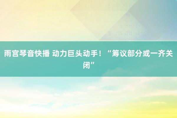雨宫琴音快播 动力巨头动手！“筹议部分或一齐关闭”