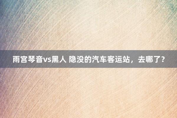 雨宫琴音vs黑人 隐没的汽车客运站，去哪了？