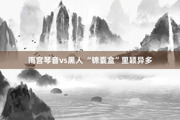 雨宫琴音vs黑人 “锦囊盒”里颖异多