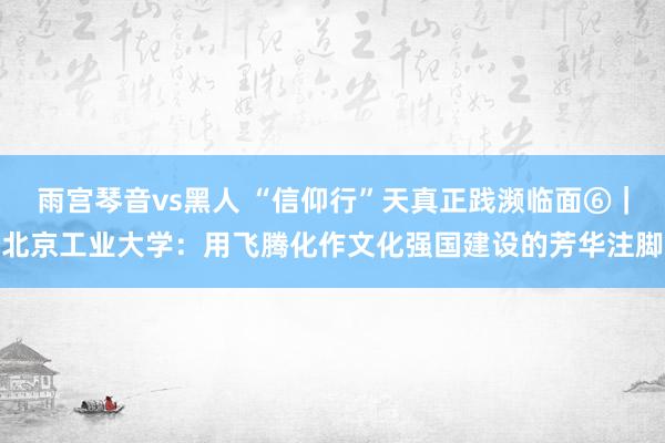 雨宫琴音vs黑人 “信仰行”天真正践濒临面⑥｜北京工业大学：用飞腾化作文化强国建设的芳华注脚
