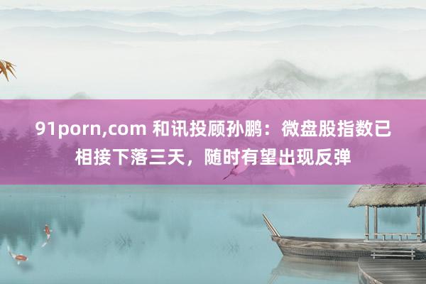 91porn，com 和讯投顾孙鹏：微盘股指数已相接下落三天，随时有望出现反弹