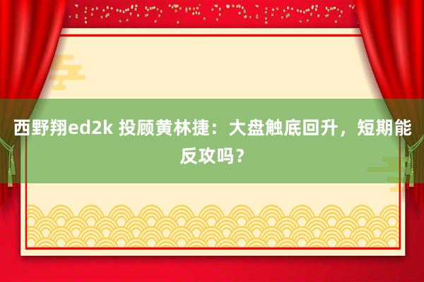西野翔ed2k 投顾黄林捷：大盘触底回升，短期能反攻吗？